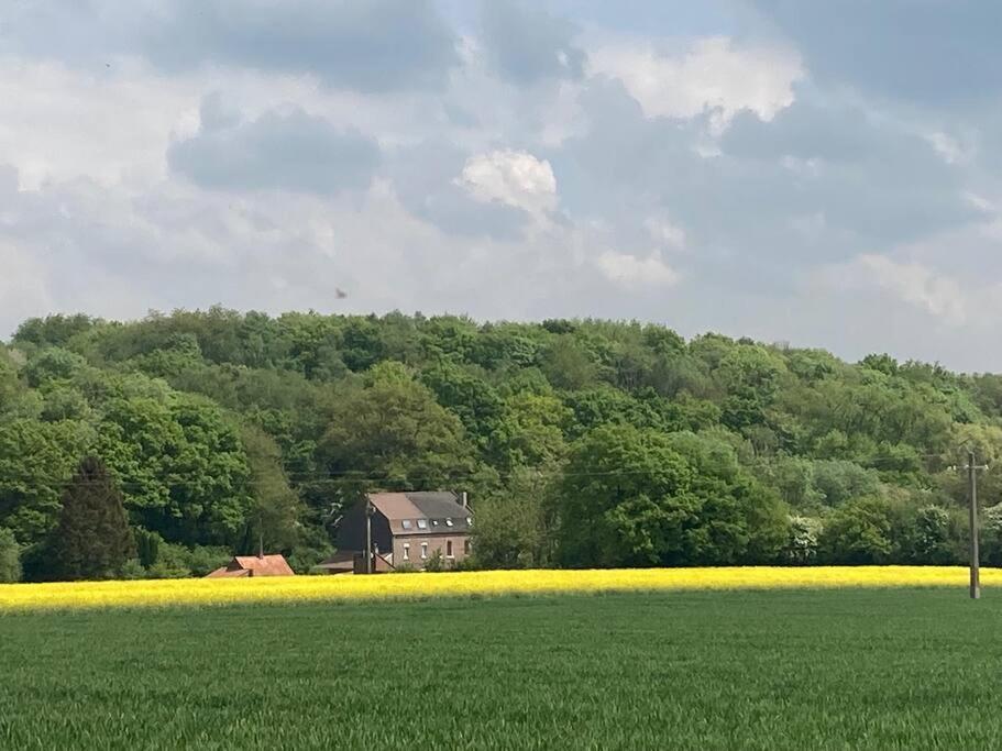 Au Bois D'Epenin - Gite Et Spa Beugin ภายนอก รูปภาพ